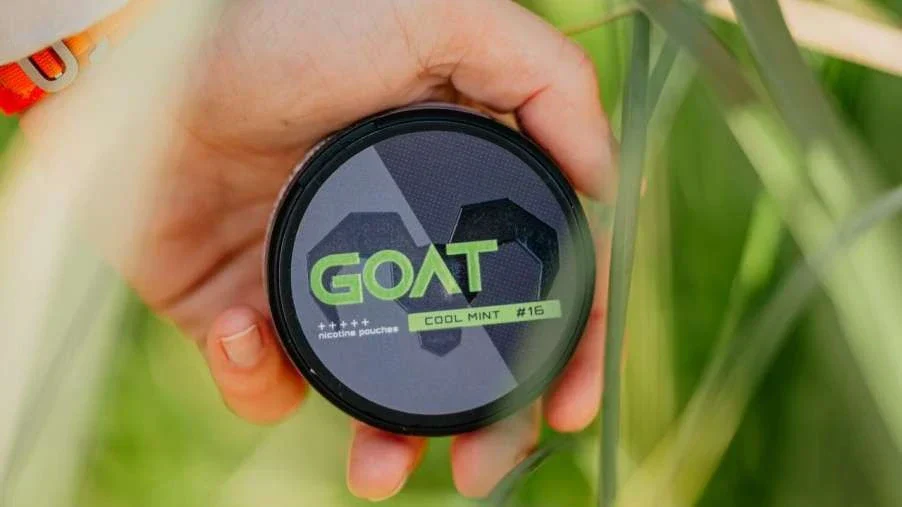 Goat webp354a4a75 c2e3 48db 953b 241faec2ed0f why goat pouches belong in every summer bag